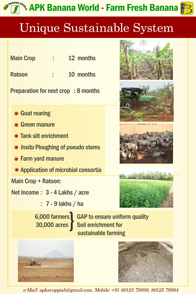 TNAU Agritech Portal Banana Growers Association